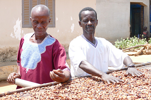Cocoa farmers.